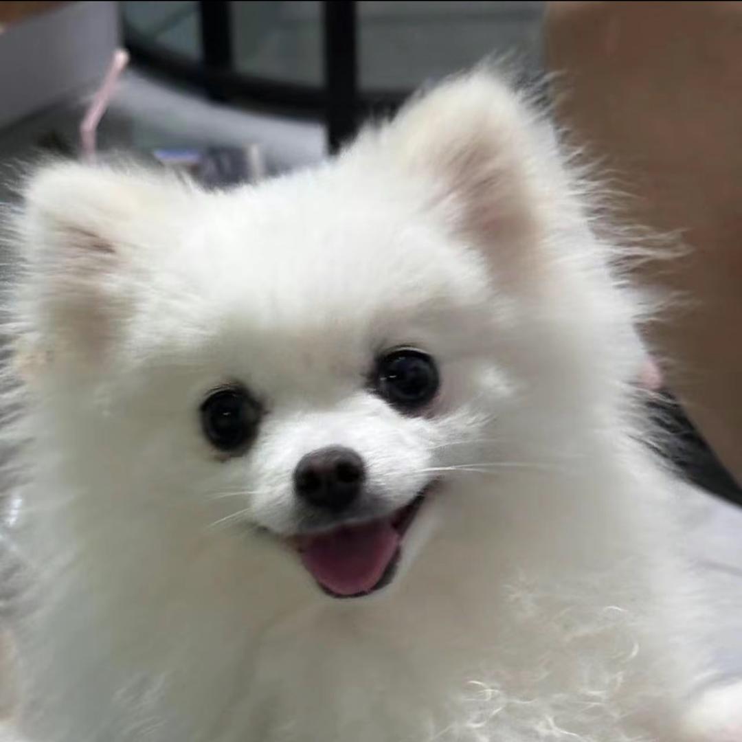 梅子酒