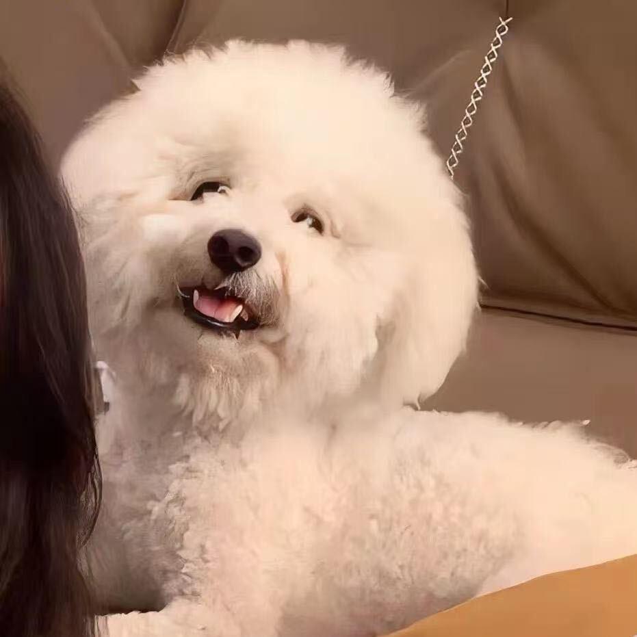 唯爱点点一百年