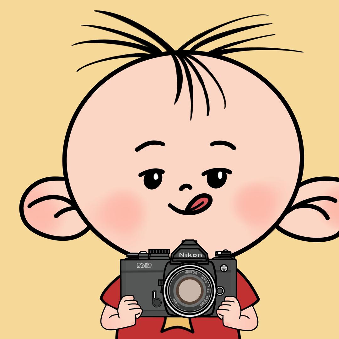 翻斗数码相机回收