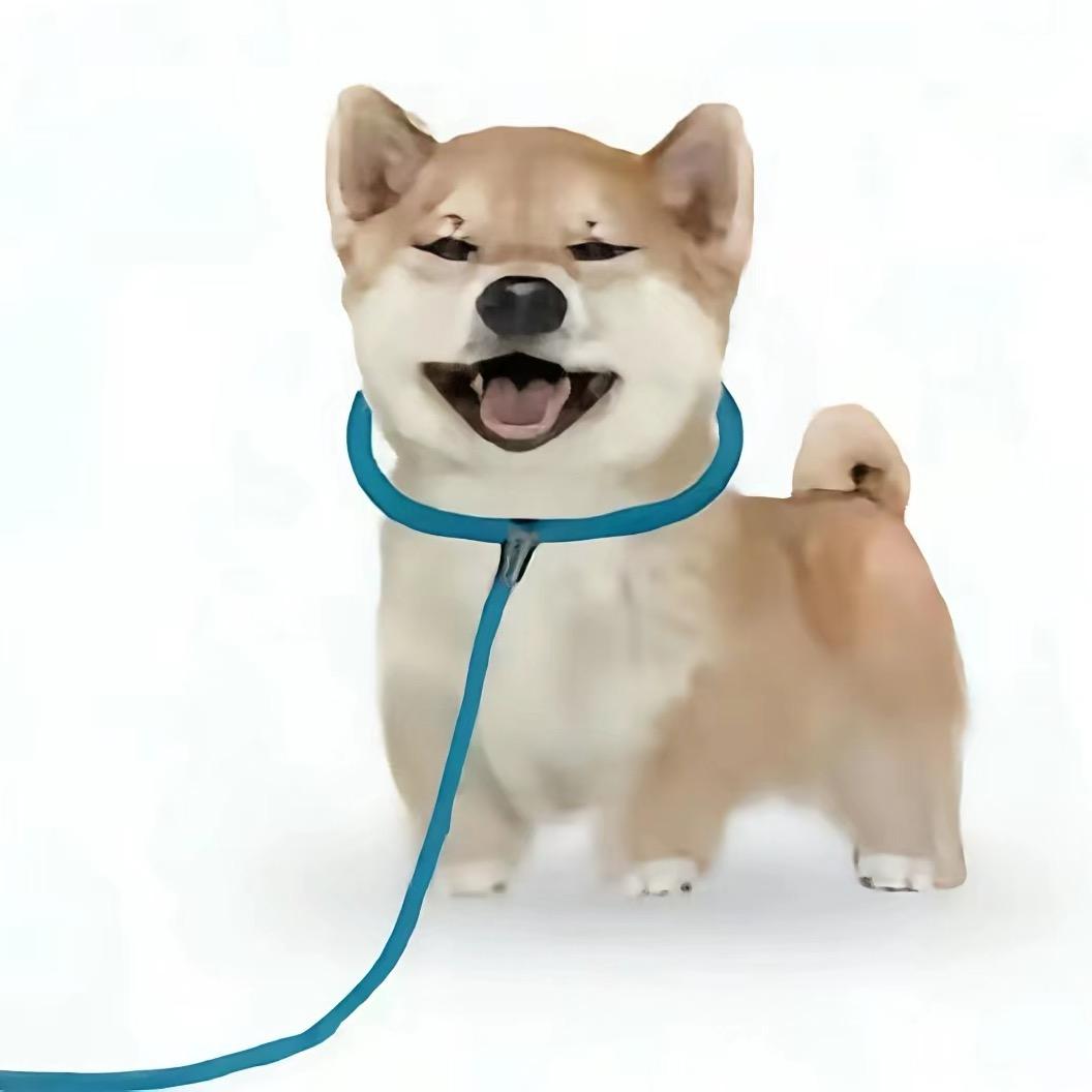 一拳给你打骨喆.
