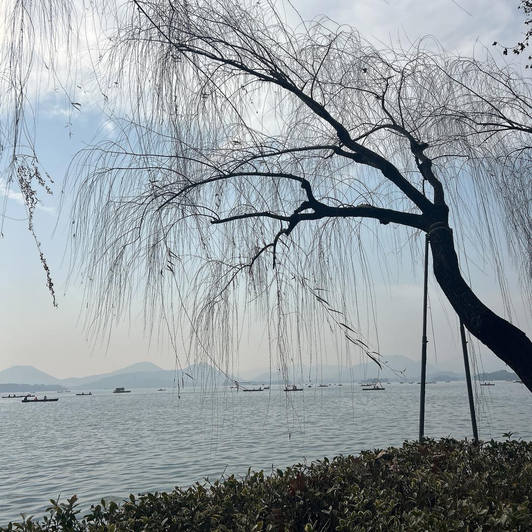 Qin 燕⁸⁰²🎈
