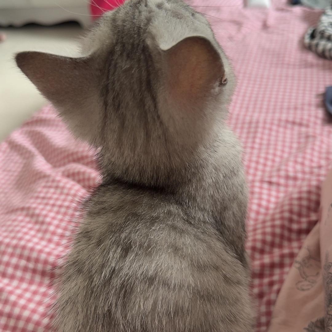 relaxBbjkm（开心星期二）