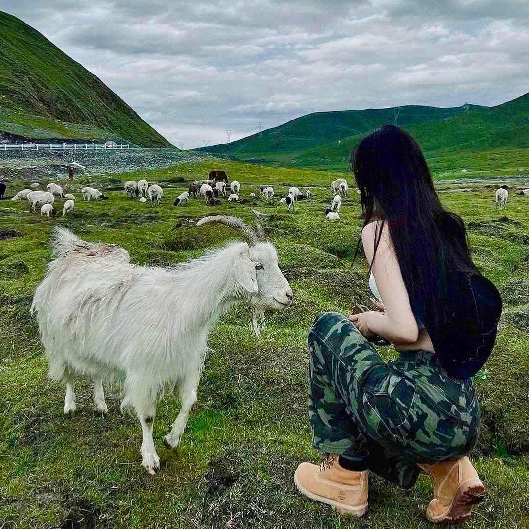 口袋有奶疙瘩的小姐姐