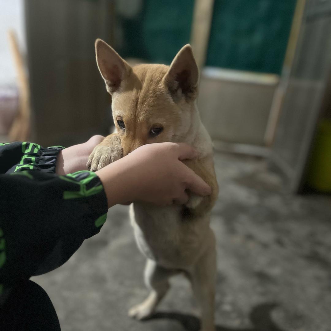 黑蛋 和 黑妞