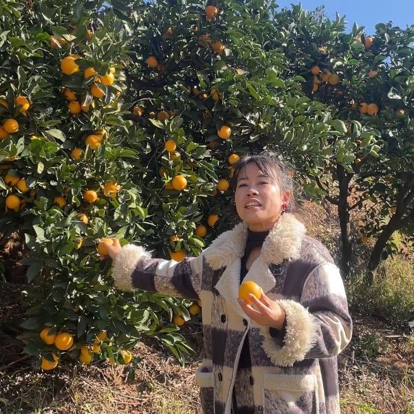 麻阳芬芬农家果园
