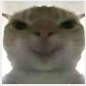 鸡
