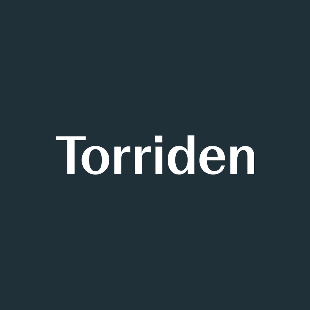 Torriden海外旗舰店