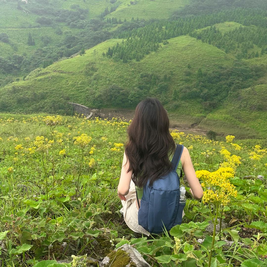 我的脸怎么那么圆