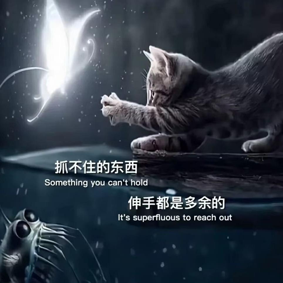剧情再美终究是戏