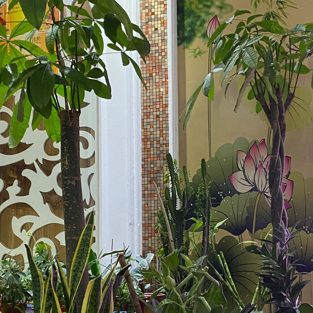 利豪百货（好物在橱窗）