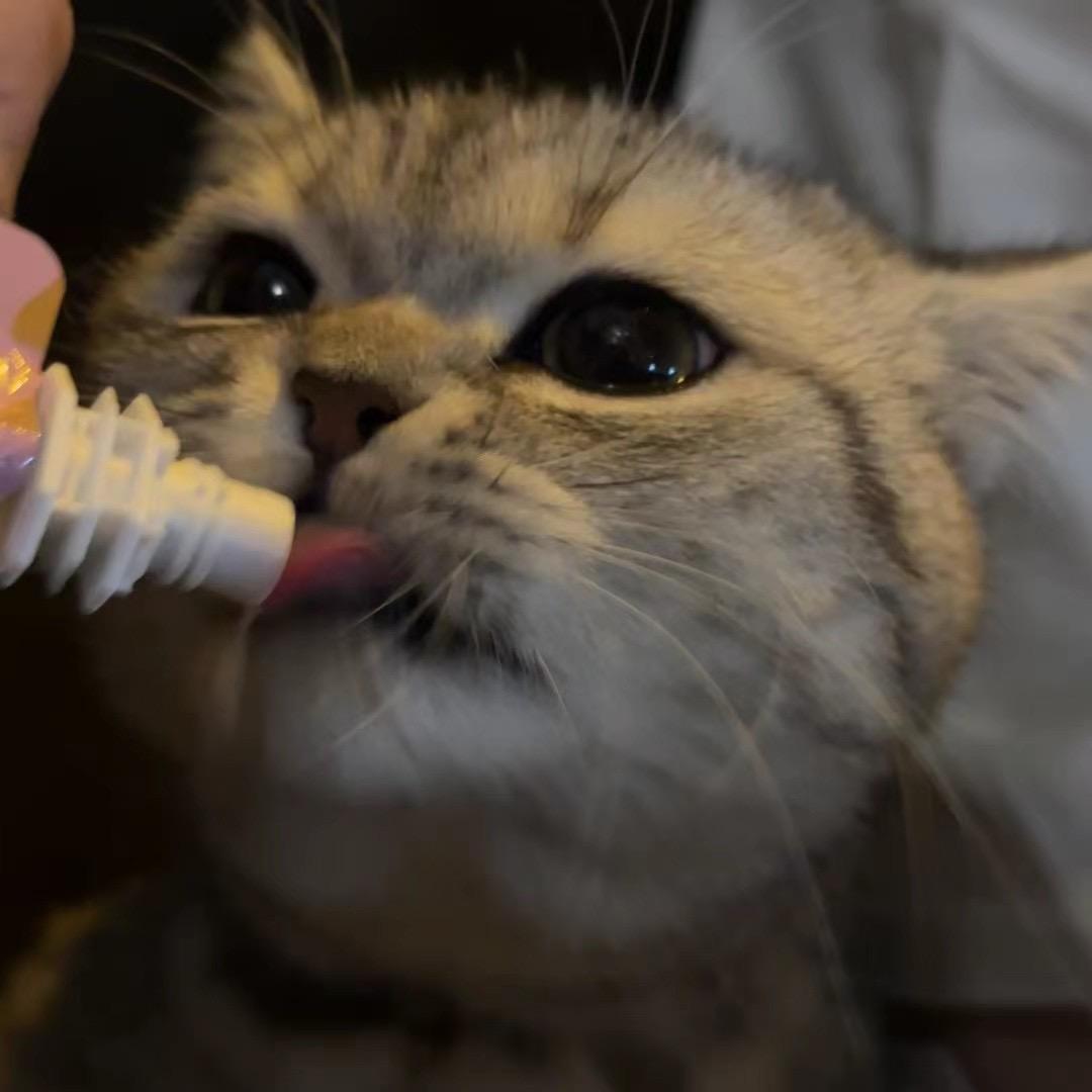 北北