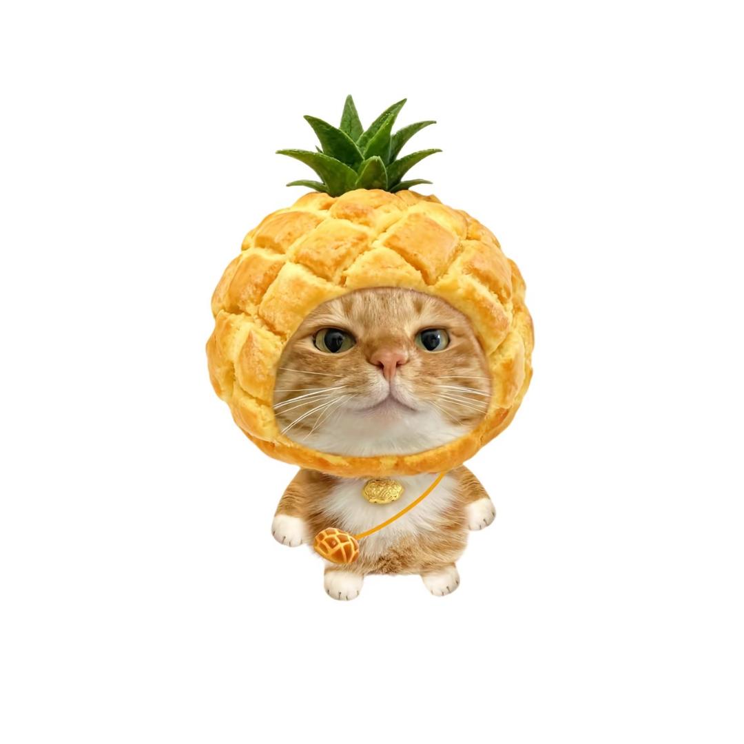 真没给她