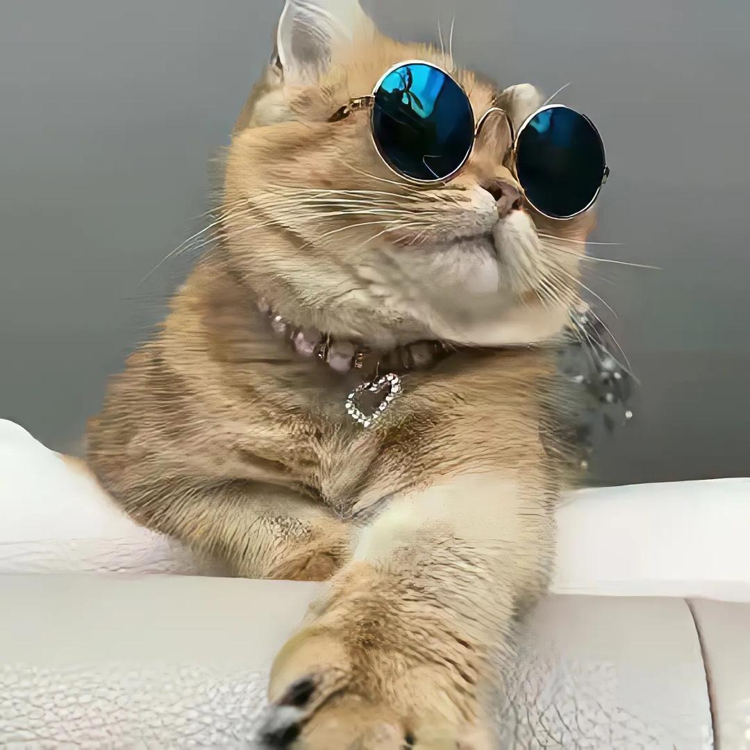 泡沫🫧