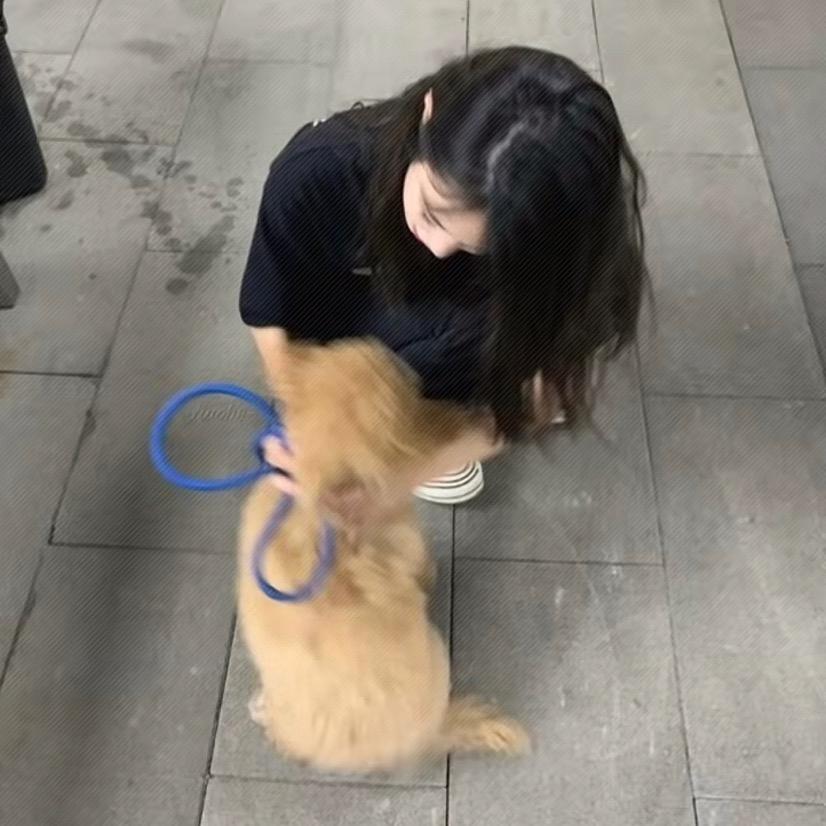 想和你看海