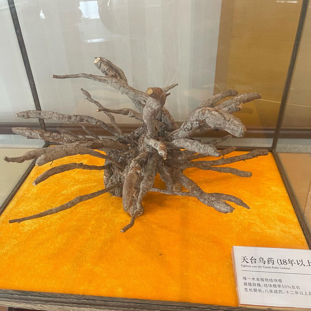 有趣人生