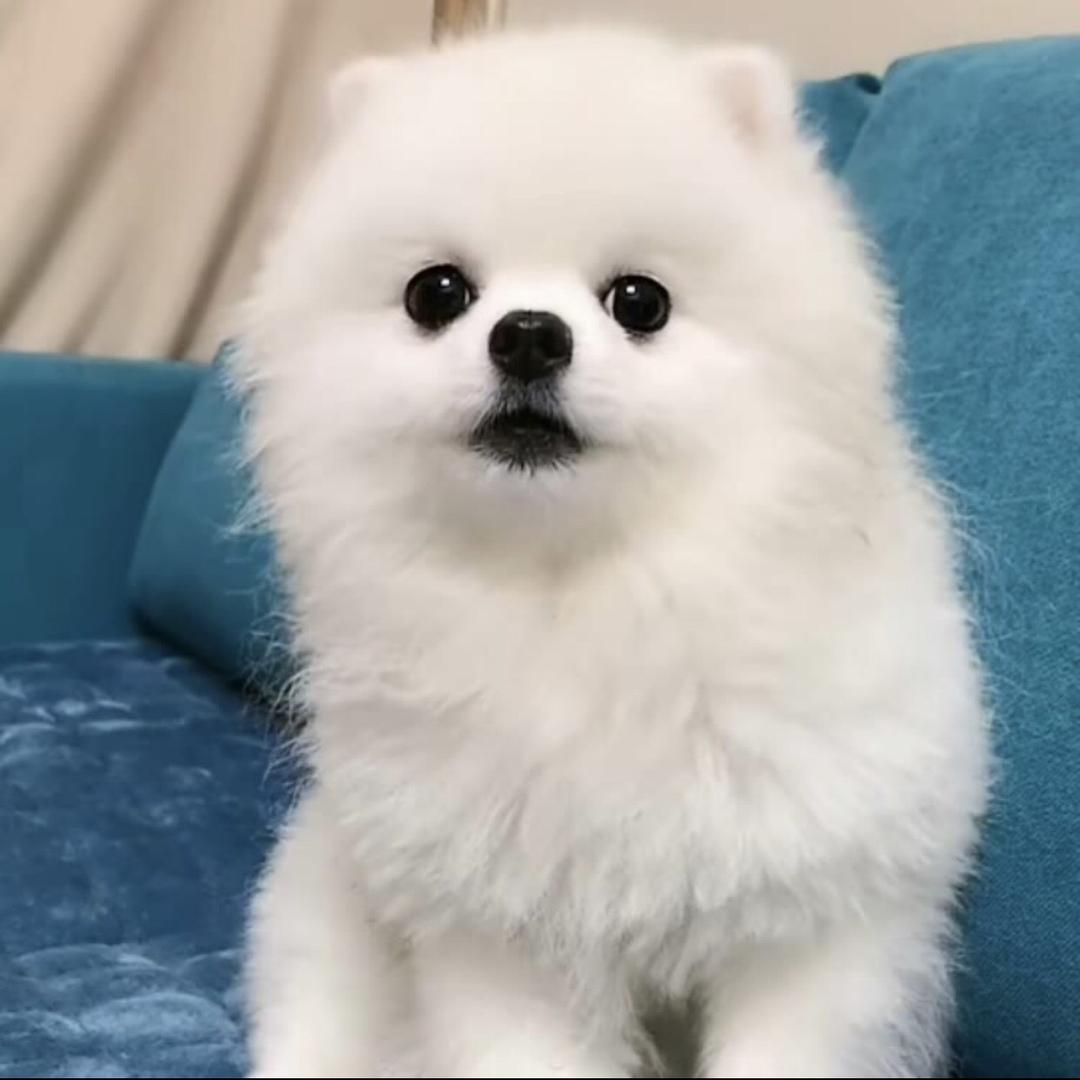 留心