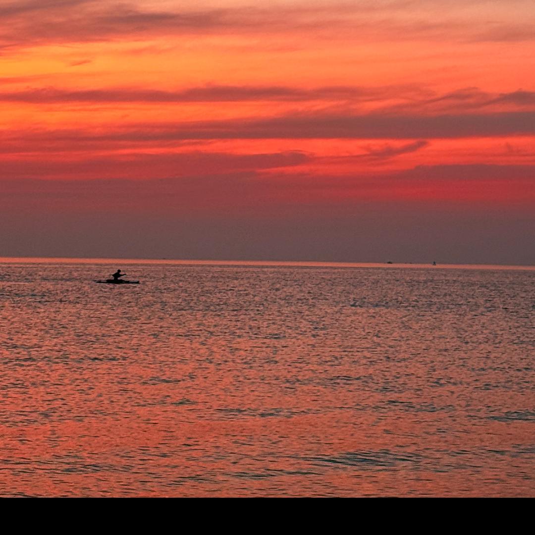 长沙民办高中志愿填报苻老师