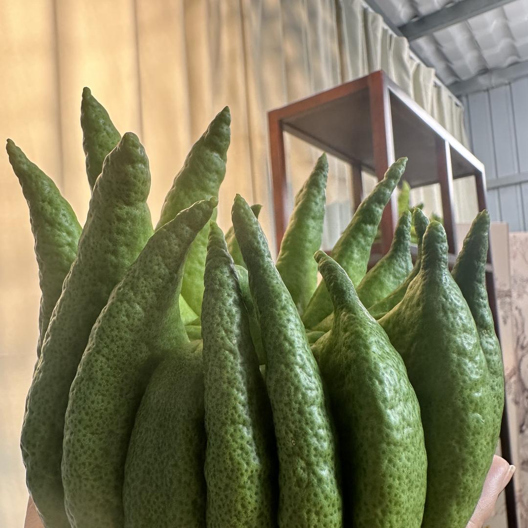 珈羽花卉甄选店
