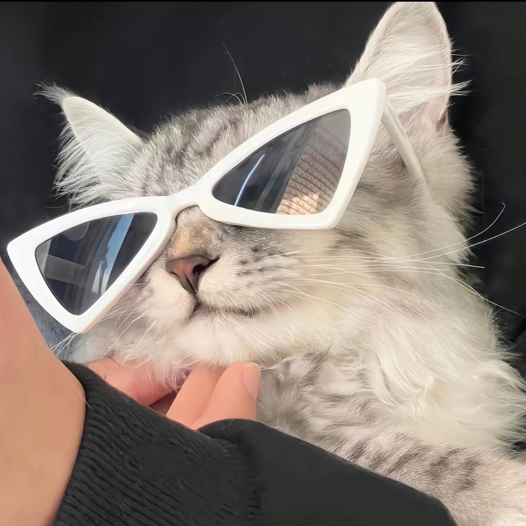彬子