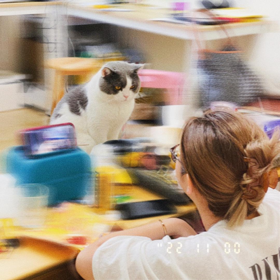 小红花DIY手作工作室