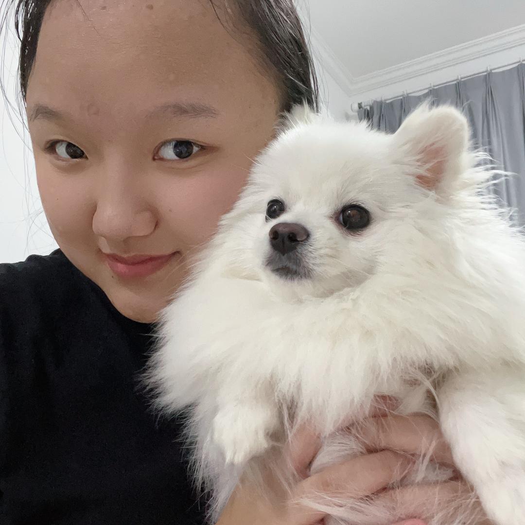 🎀博美YY头像
