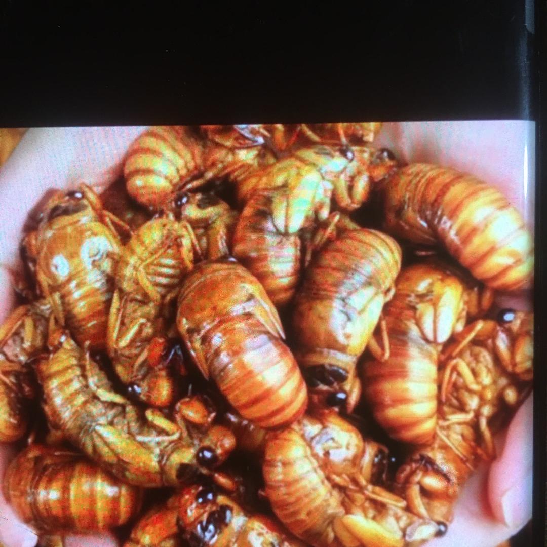 东海县静仁酒业销售有限公司