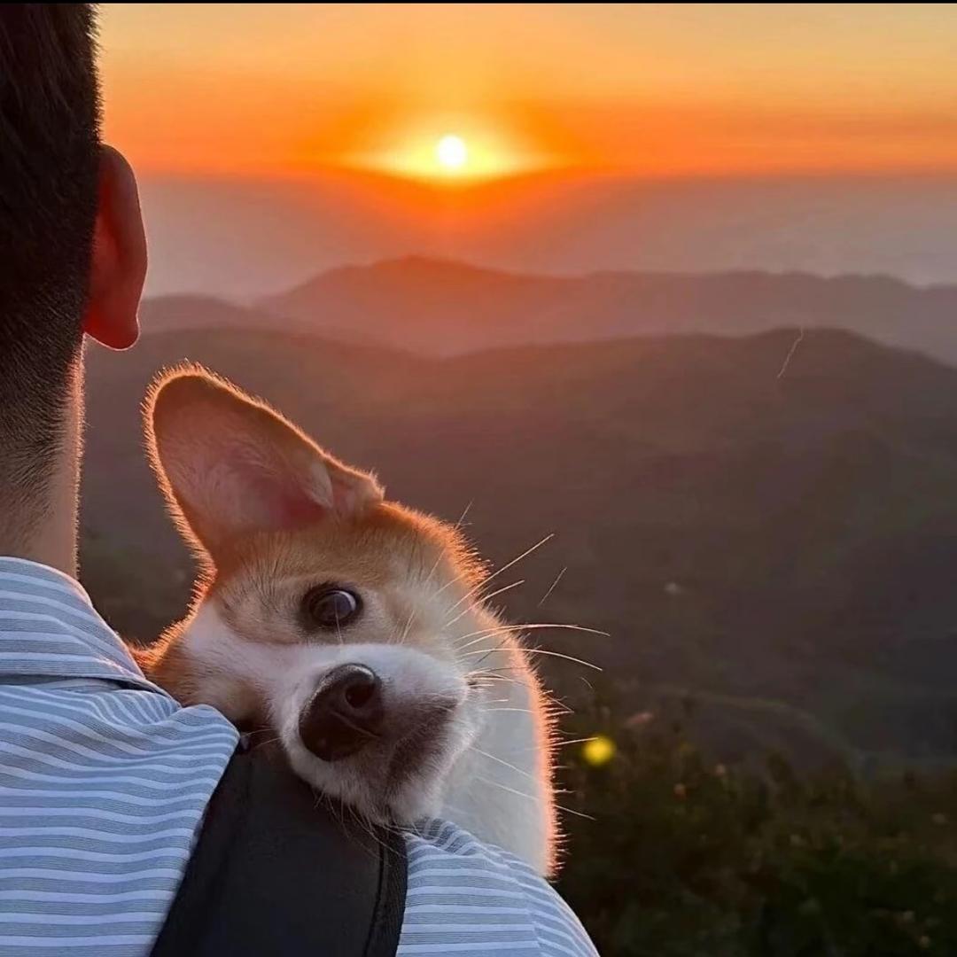 🔆往