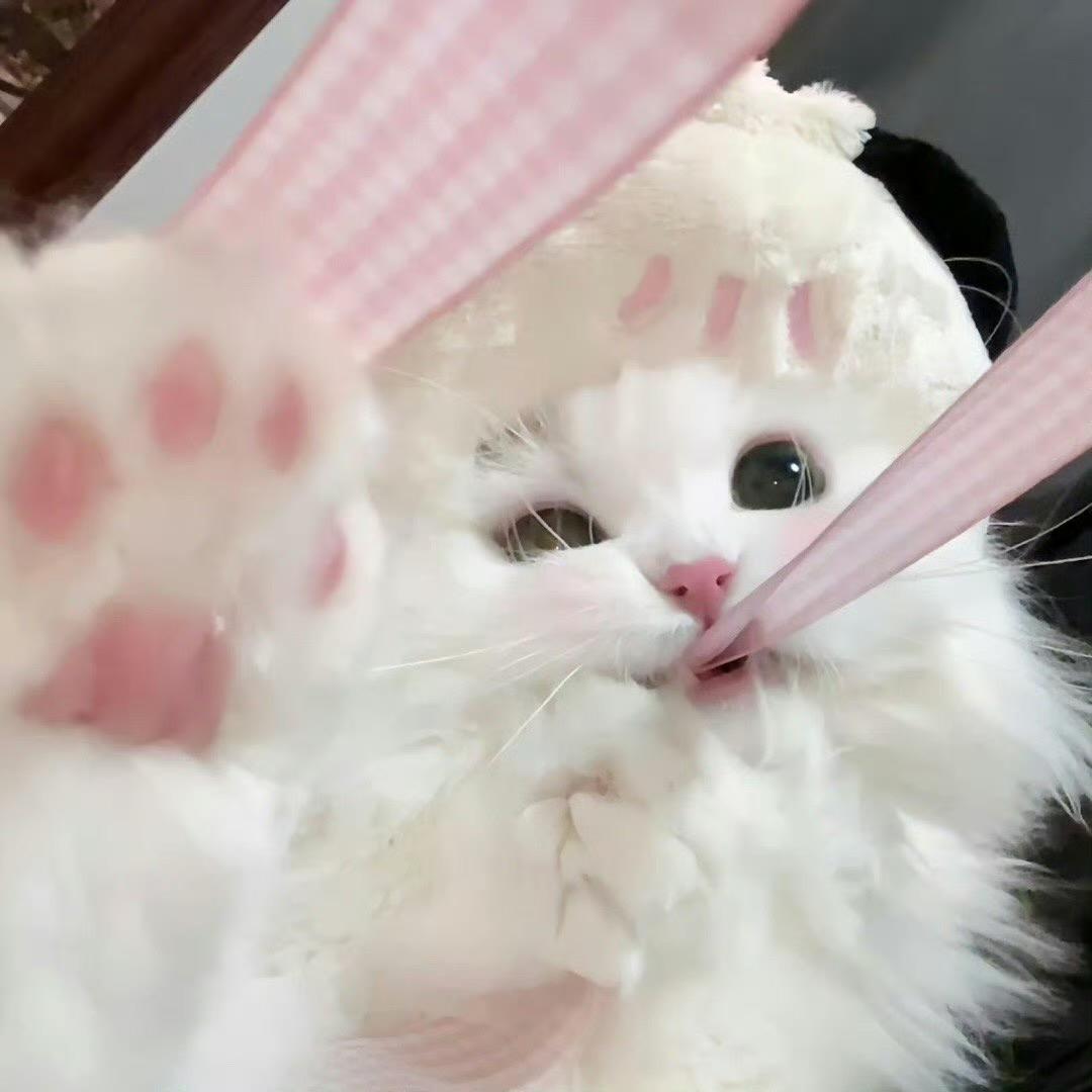 安安