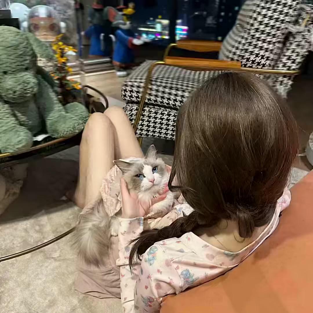 拜托别当笨蛋·