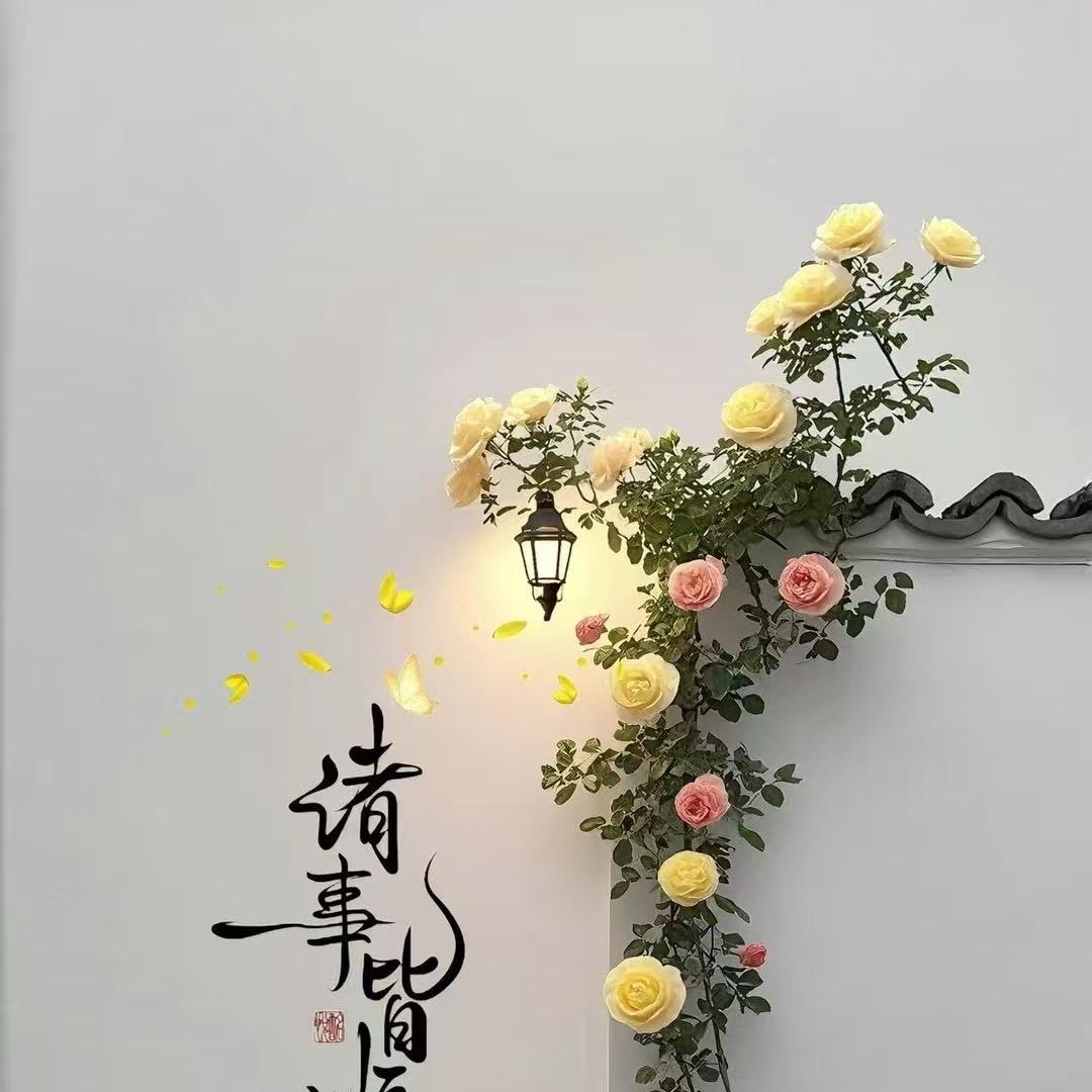忘忧