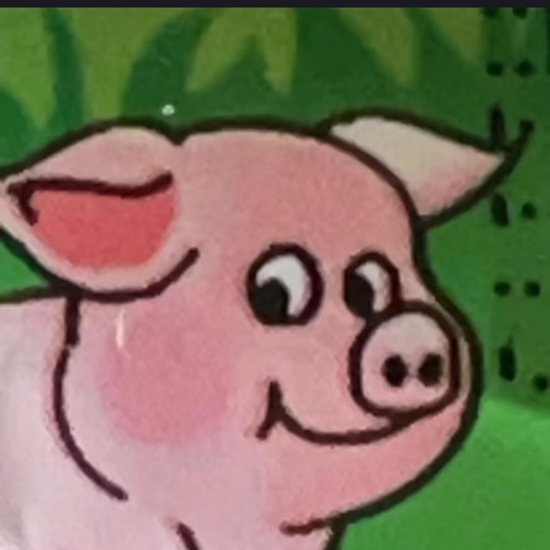 小猪测评🐖