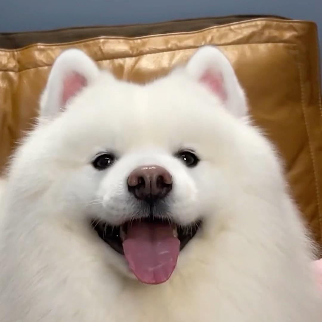 @呀呀呀