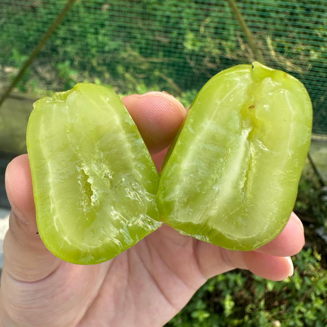 南通果之缘天然水果好货店