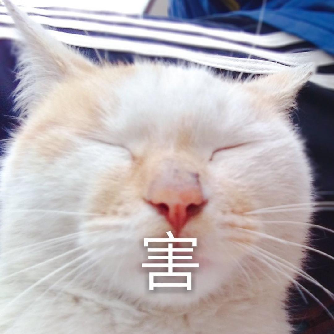风风滚滚