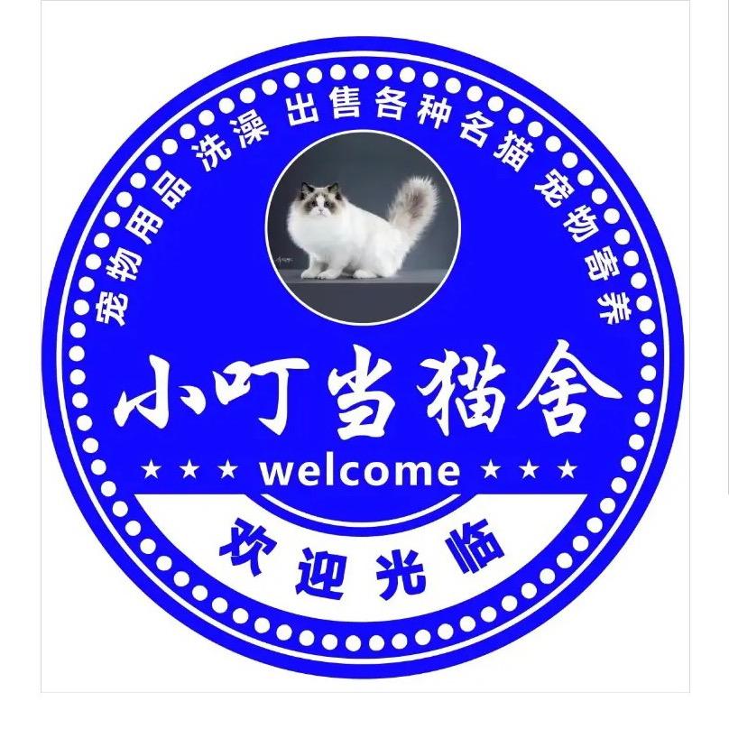 小叮当猫舍🐈