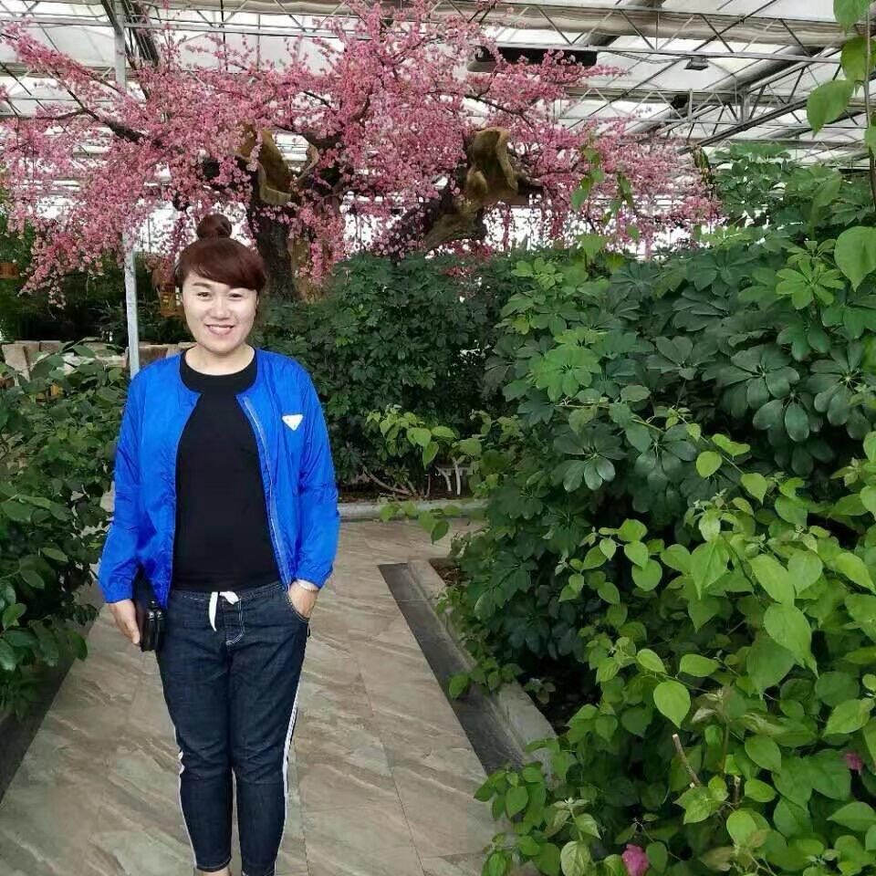 魅影笛声