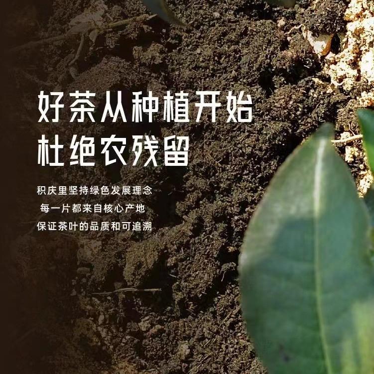 英德市邓忠茶业店