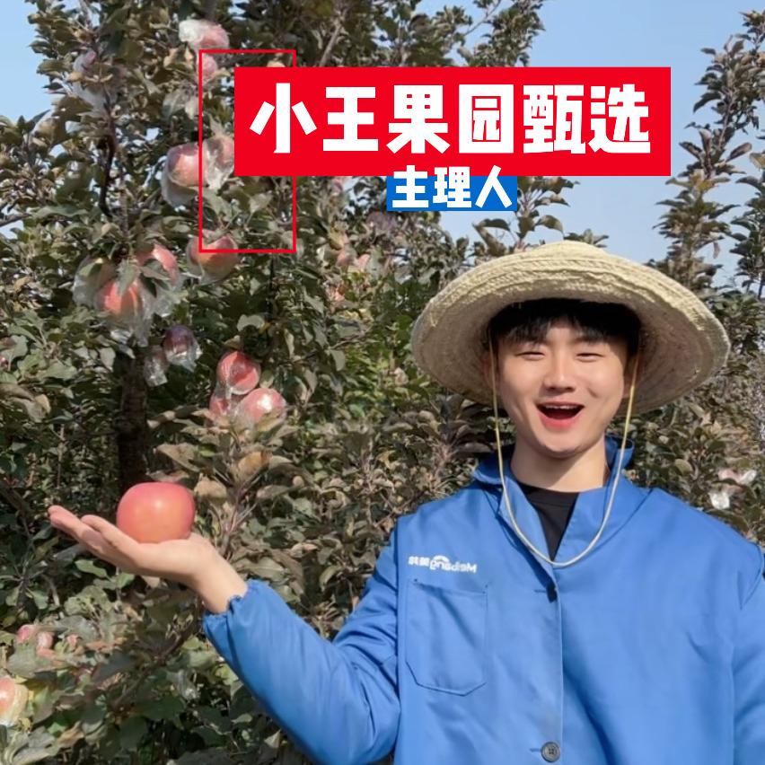 小王果园甄选