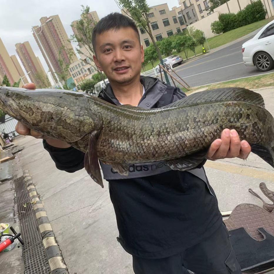 无锡户外钓鱼刘稳