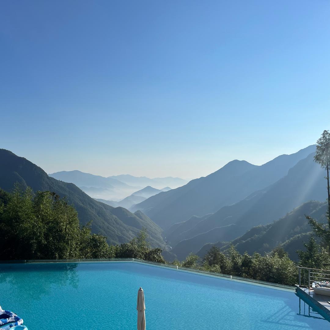 爱旅行喝茶的姐