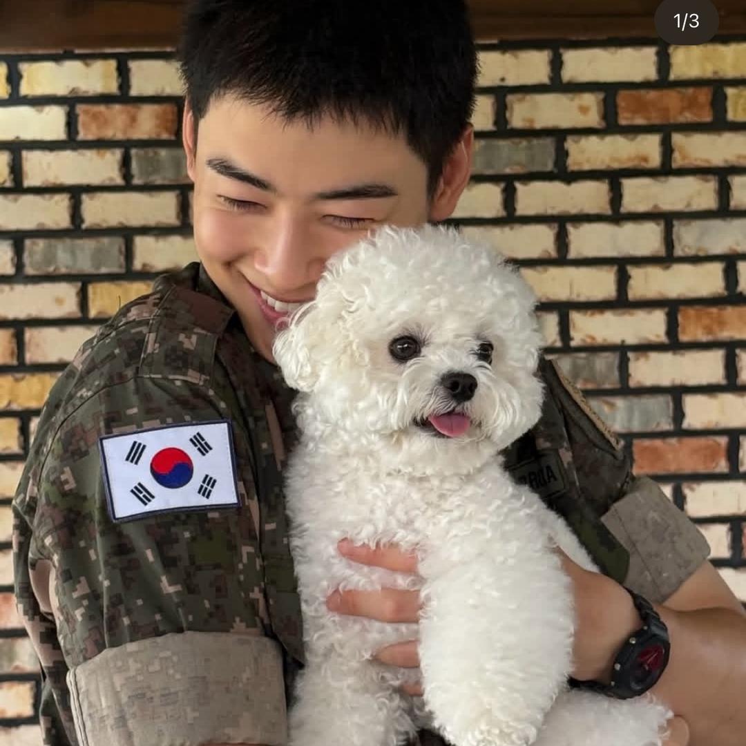 所有人都趁着车银优入伍欺负他的老婆