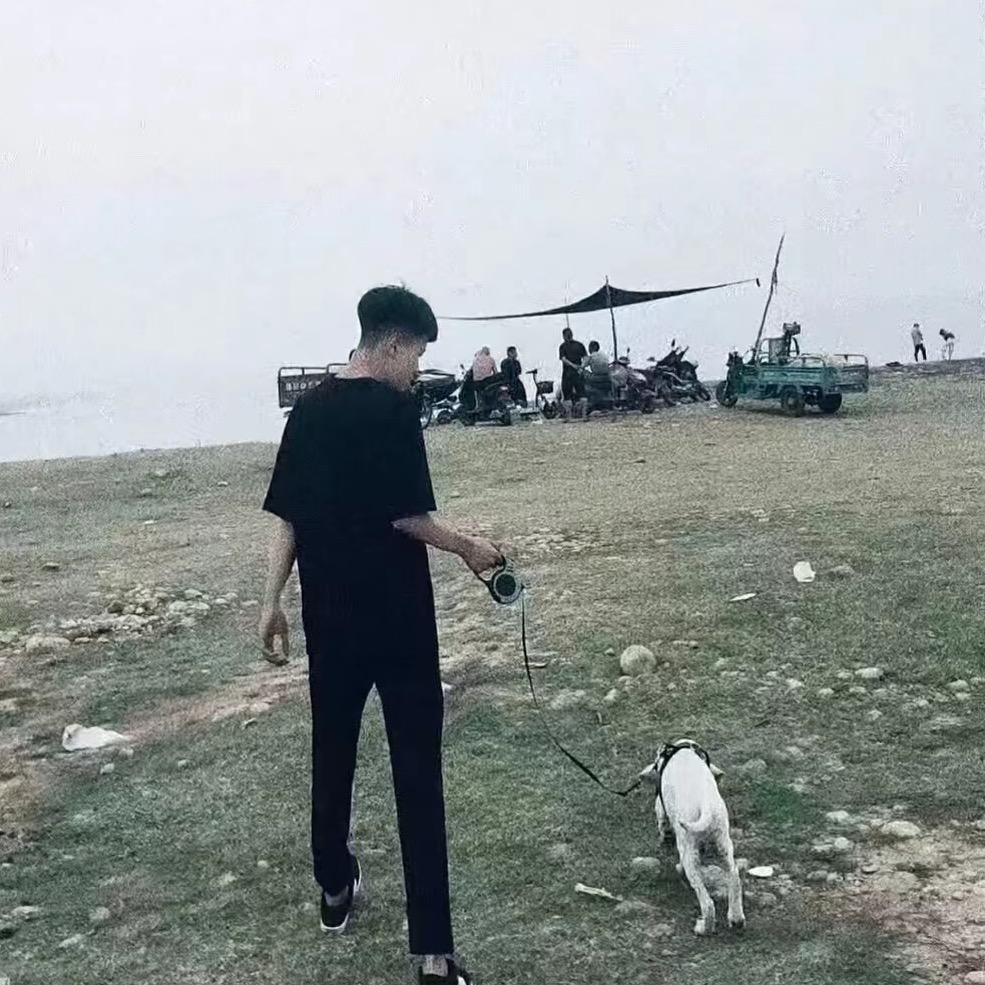 鹏鹏