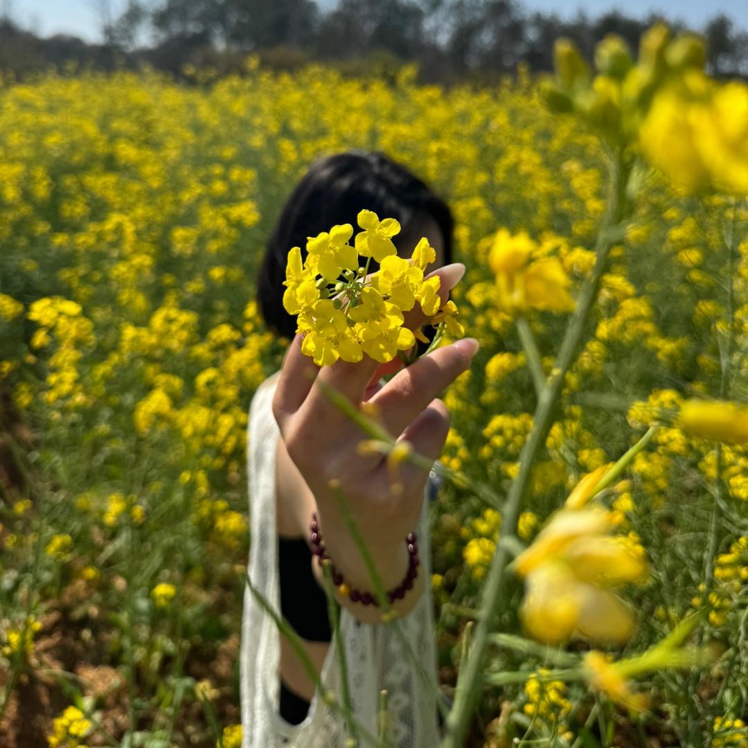 💋马大小姐