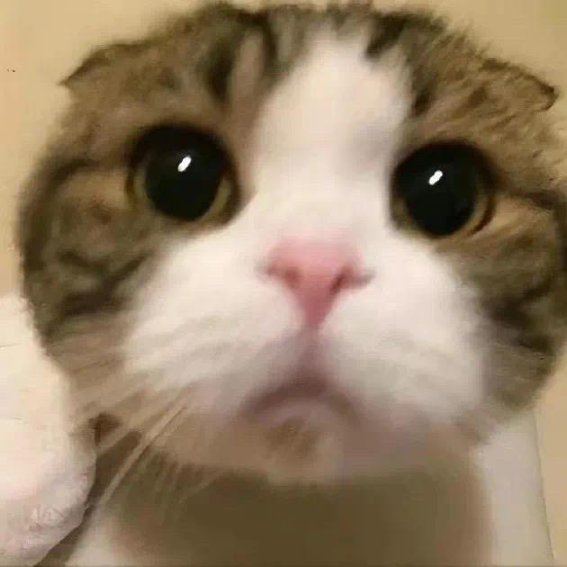 我不困