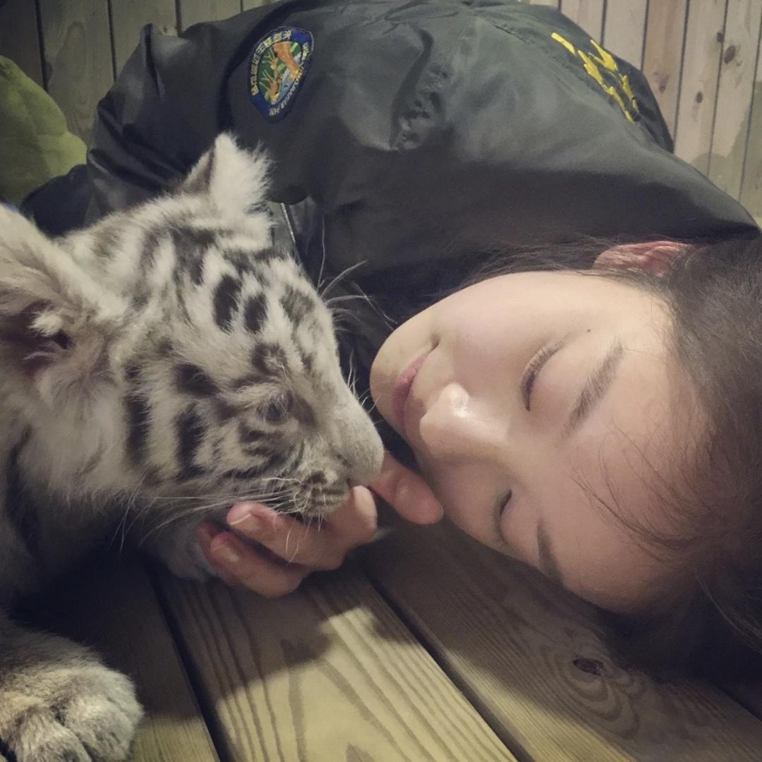 不准多吃亿点点点