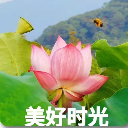 AA建材张总（钢筋）