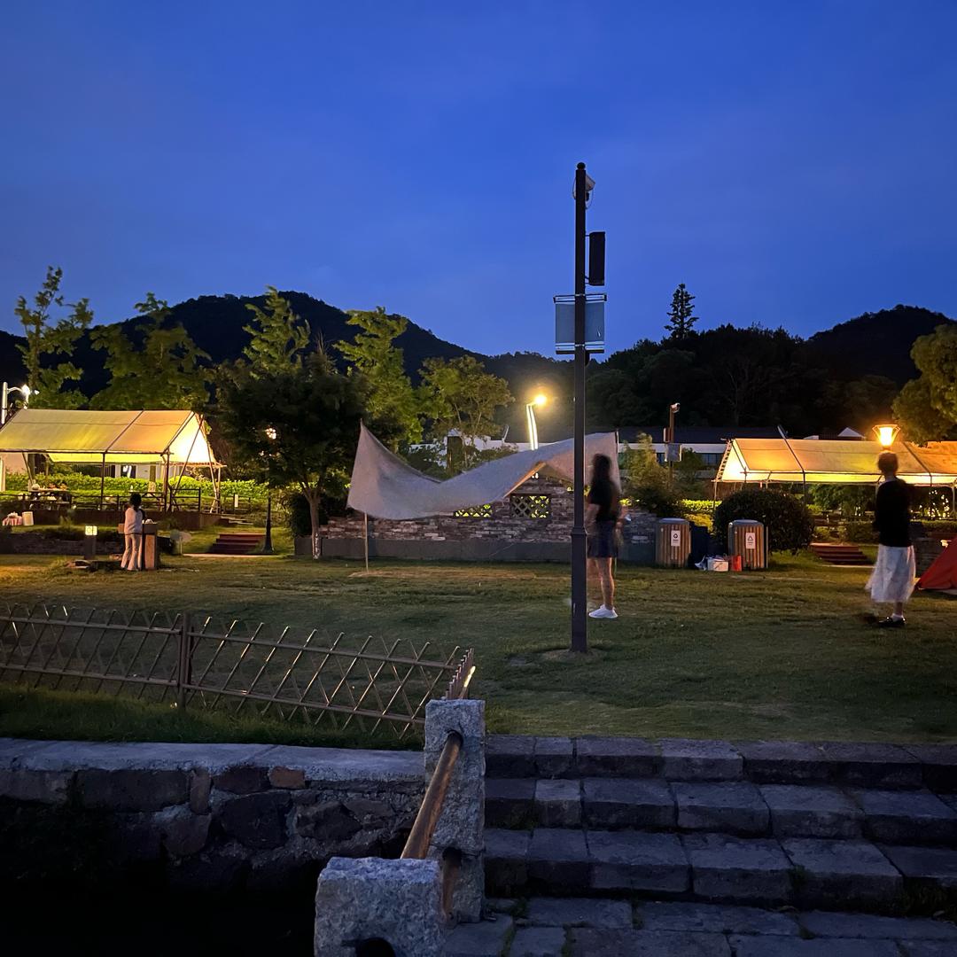 树叶上的小蚂蚁