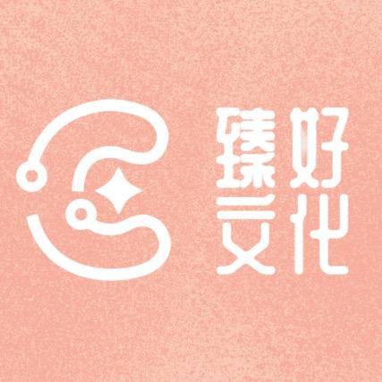 海口臻好气球派对