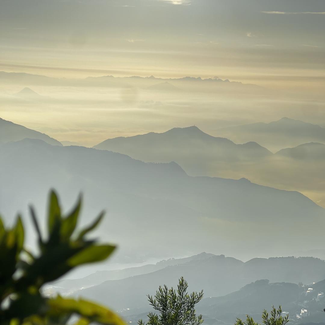 茶山茗奏