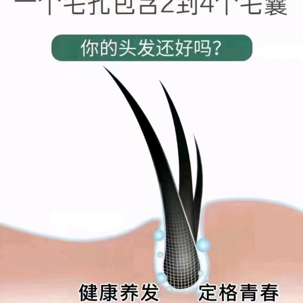 靓旺新养发（一对一指导）